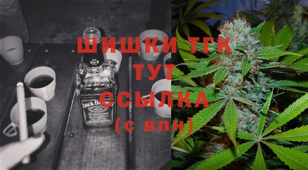 крисы Липки