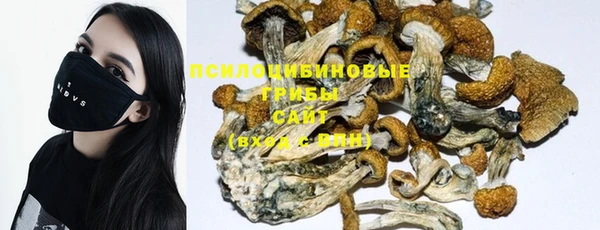 mdma Лагань