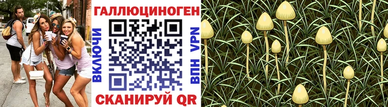 где купить наркоту  Уржум  Галлюциногенные грибы Cubensis 